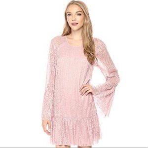BCBG Double Tiered A-line Dress in Rose Smoke
